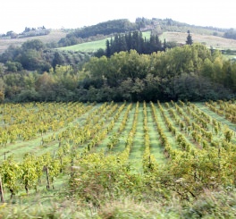 Toscana – sob o olhar de Michele
